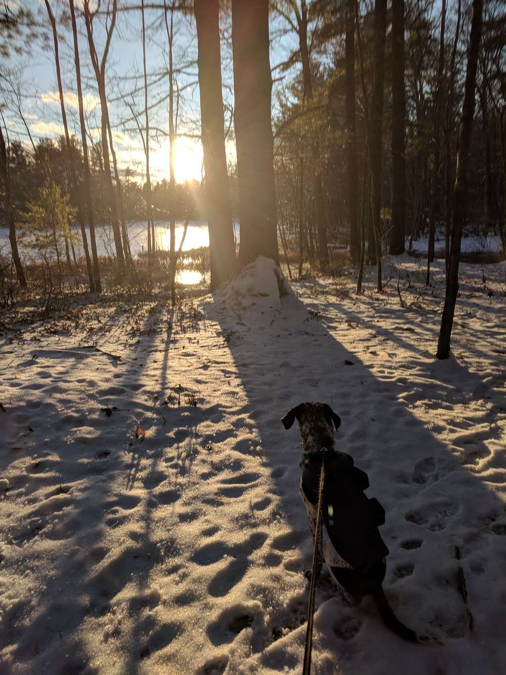 Fosters Pond Natural Area | 105 Londonderry Rd, Windham, NH 03087, USA | Phone: (603) 432-3806