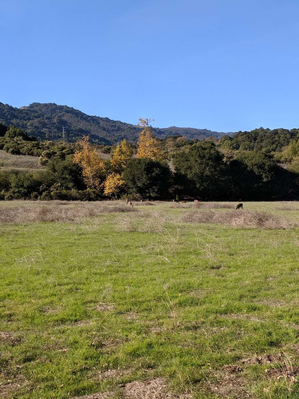 The Forum at Rancho San Antonio | 23500 Cristo Rey Dr, Cupertino, CA 95014, USA | Phone: (650) 265-2637