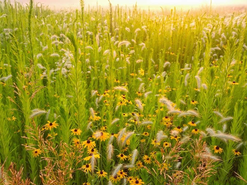 Glacial Park Conservation Area | 6705 State Rte 31, Ringwood, IL 60072 | Phone: (815) 678-4532