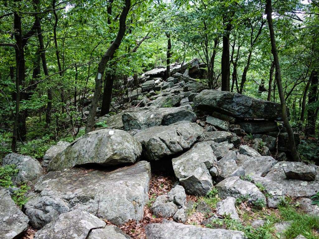 Wolf Rocks | Appalachian Trail, Stroudsburg, PA 18360, USA