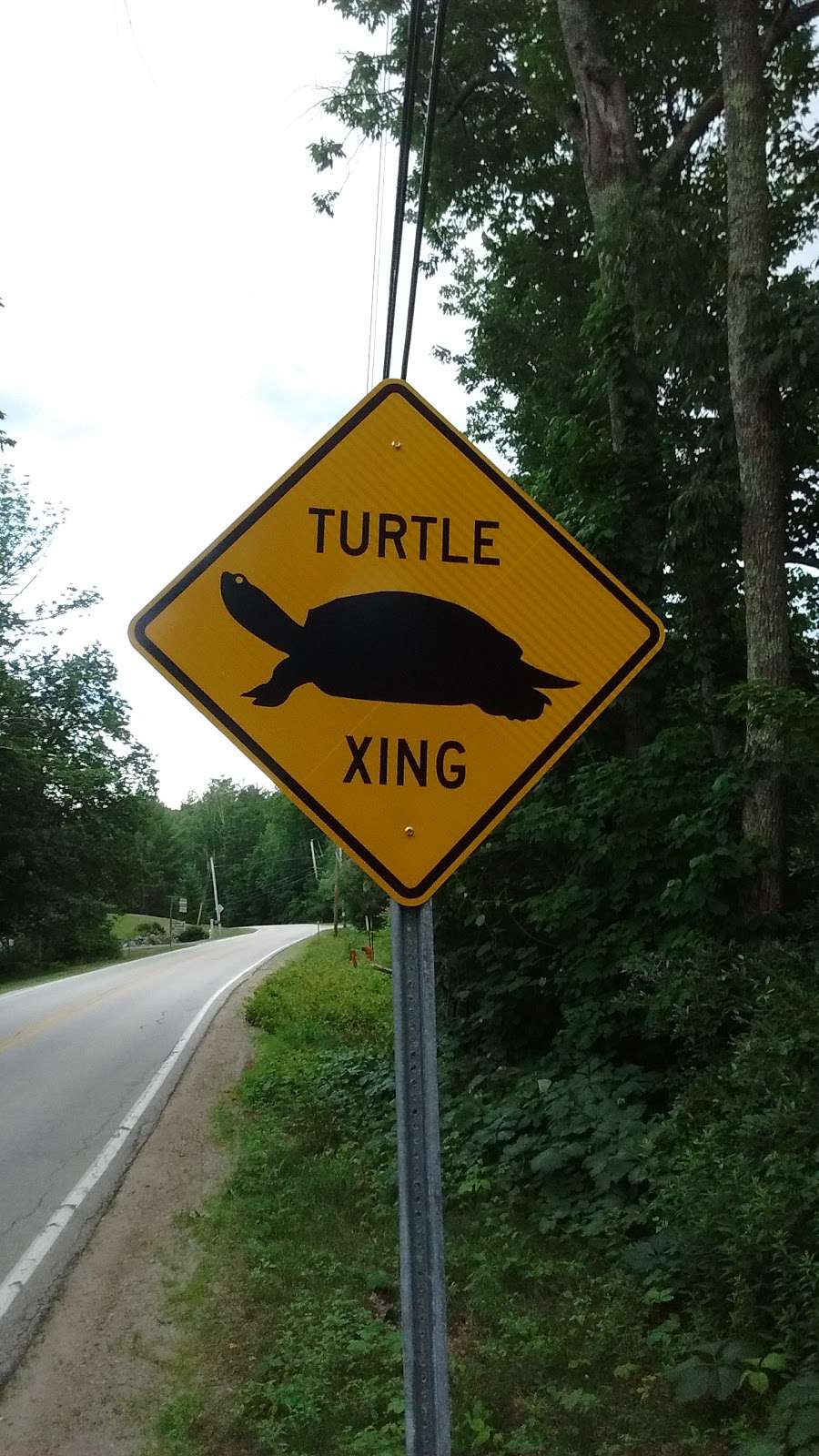 Tynic Transport Co LLC | 73 Jenkins Rd, Bedford, NH 03110, USA | Phone: (603) 472-3013