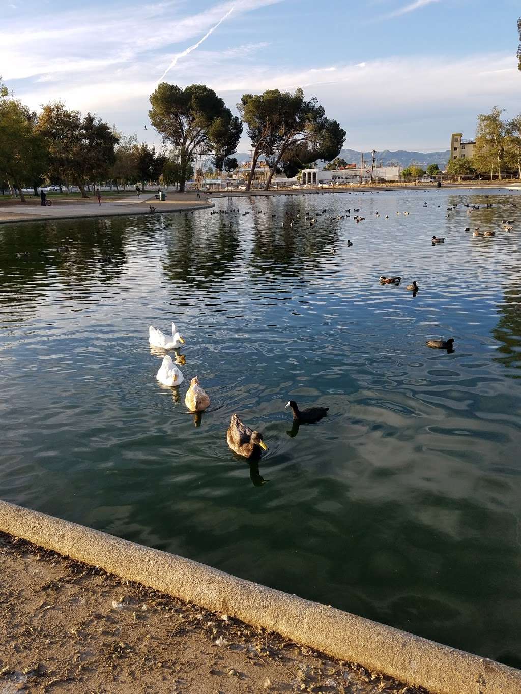 Reseda Park Lake | Park Lake, Reseda, CA 91335