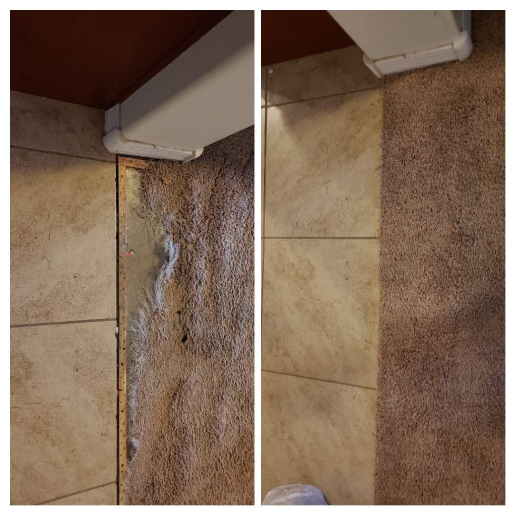 Steam Smart Pro Carpet Duct & Tile Cleaning | 5151 N Oracle Rd Suite 203, Tucson, AZ 85704, United States | Phone: (520) 462-9145