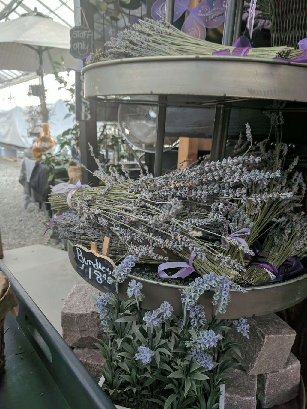 Halfmoon Bay Lavender | 12511 San Mateo Rd, Half Moon Bay, CA 94019 | Phone: (650) 704-6400