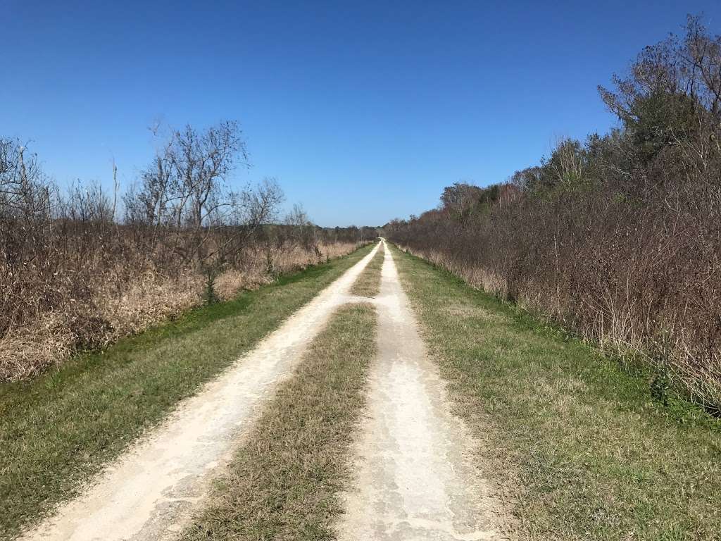 Ocklawaha Prairie Restoration Area | 7910 SE 137th Avenue Rd, Ocklawaha, FL 32179, USA