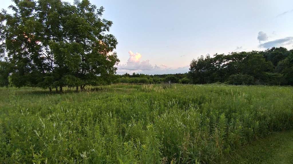 Cuba Marsh Forest Preserve Parking Area | 24205 W Cuba Rd, Barrington, IL 60010, USA | Phone: (847) 367-6640