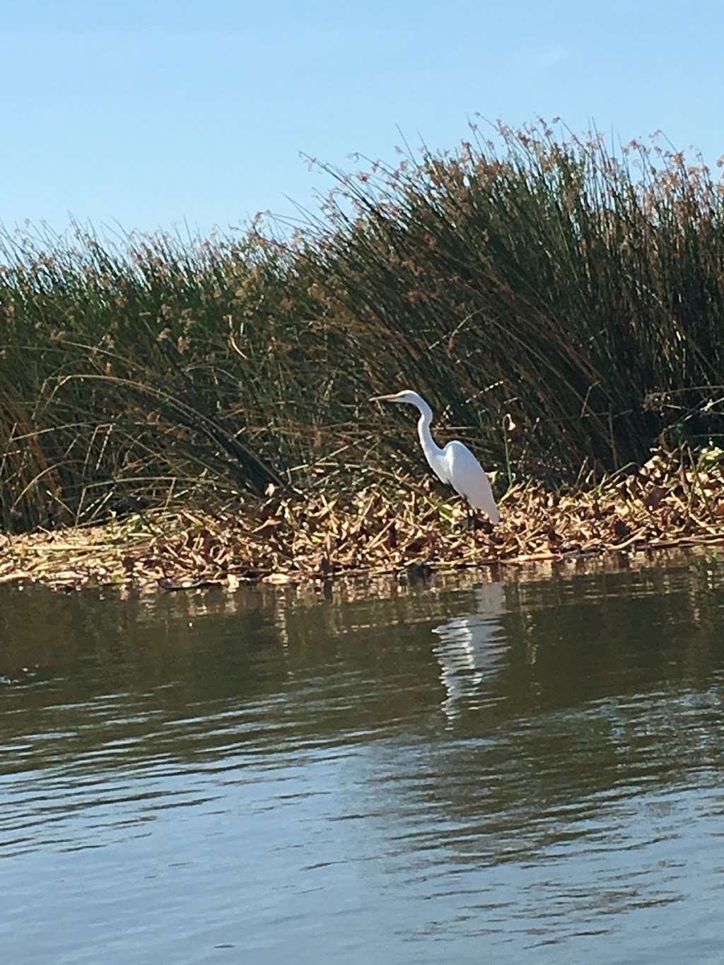 Sherman Island County Park | 4800w Sherman Island Rd, Rio Vista, CA 94571