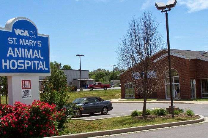 VCA St. Marys Animal Hospital | 22261 Three Notch Rd, Lexington Park, MD 20653, USA | Phone: (301) 862-2441