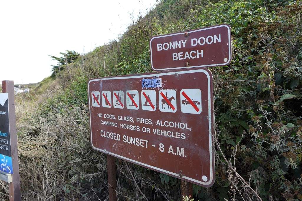 Bonny Doon Beach | North Pacific Ocean, Santa Cruz, CA 95060, USA