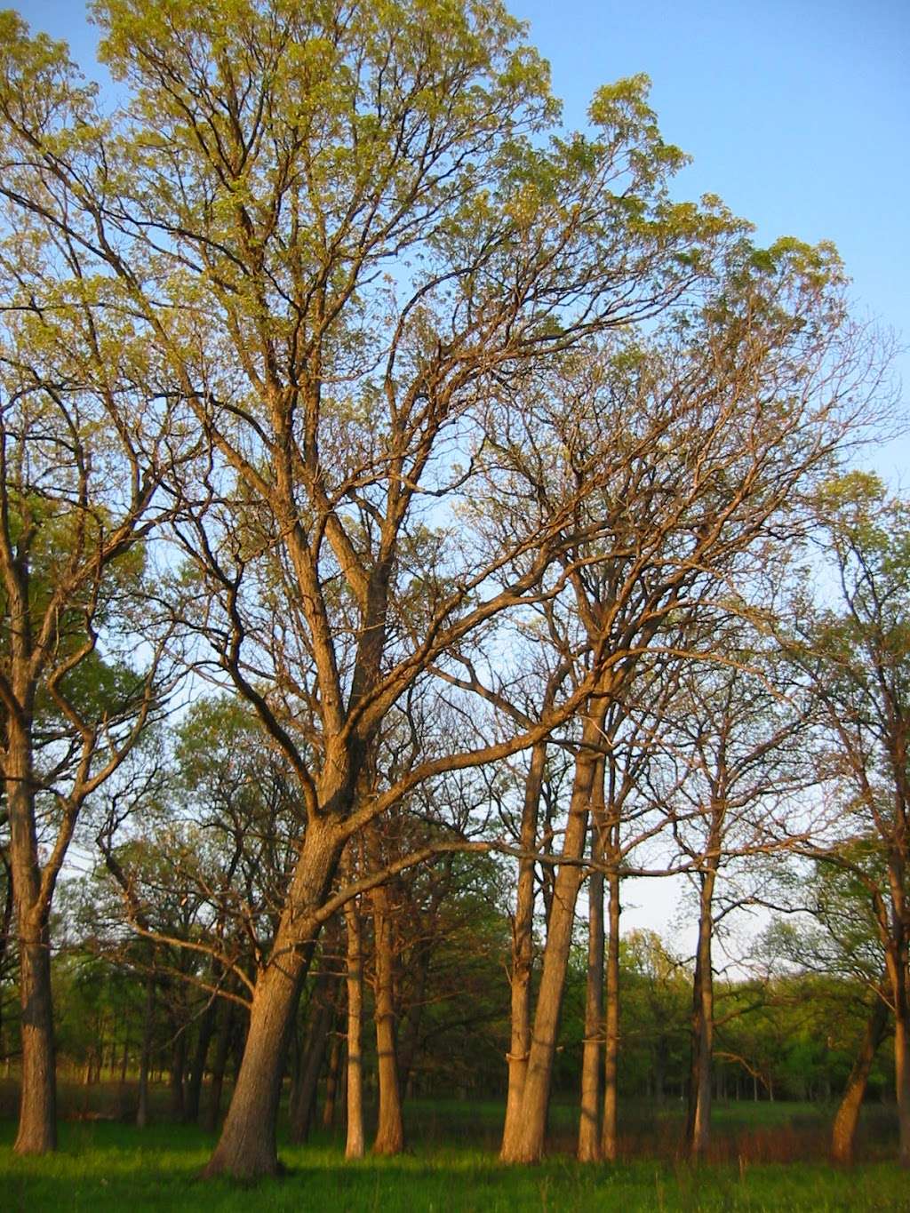 Deerpath Farm | 26339 N Farwell Rd, Mettawa, IL 60045, USA | Phone: (312) 952-9511