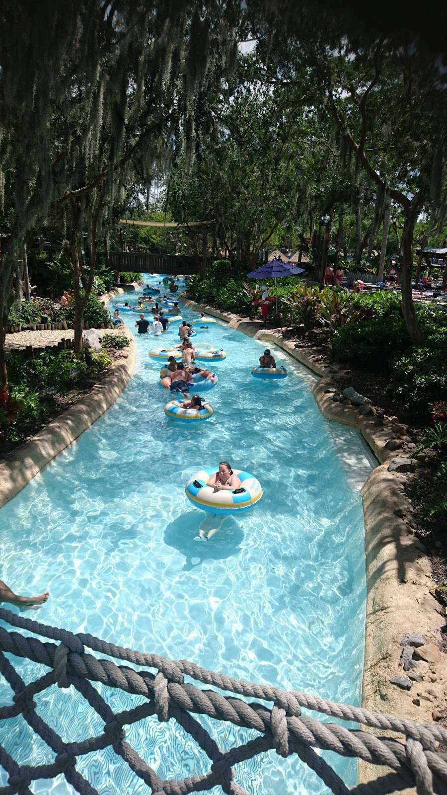 Typhoon Tillys | Disneys Typhoon Lagoon, Orlando, FL 32830, USA | Phone: (407) 939-3463