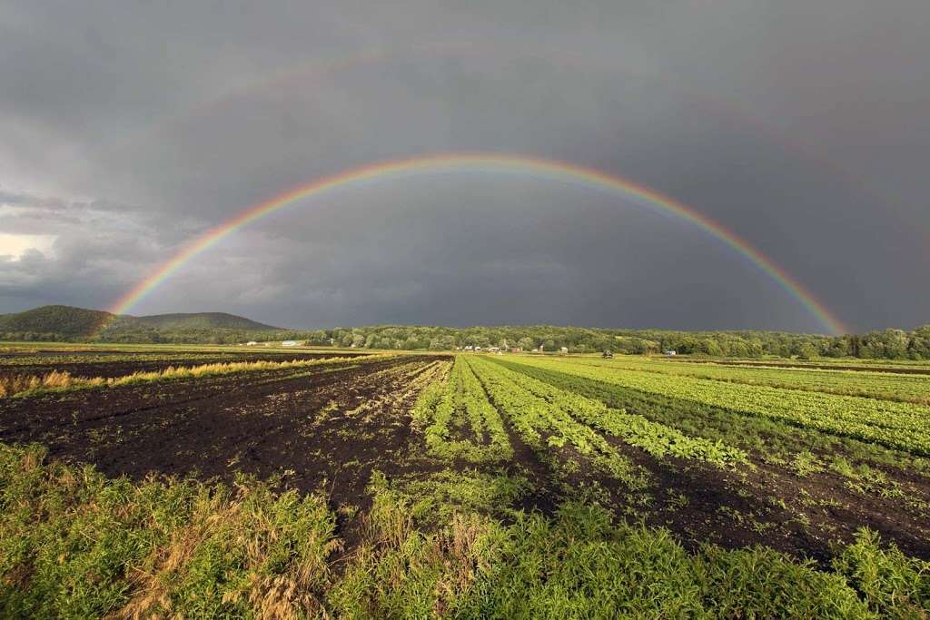 Florida NY Farmers Market | Florida, NY 10921, USA | Phone: (845) 772-2662