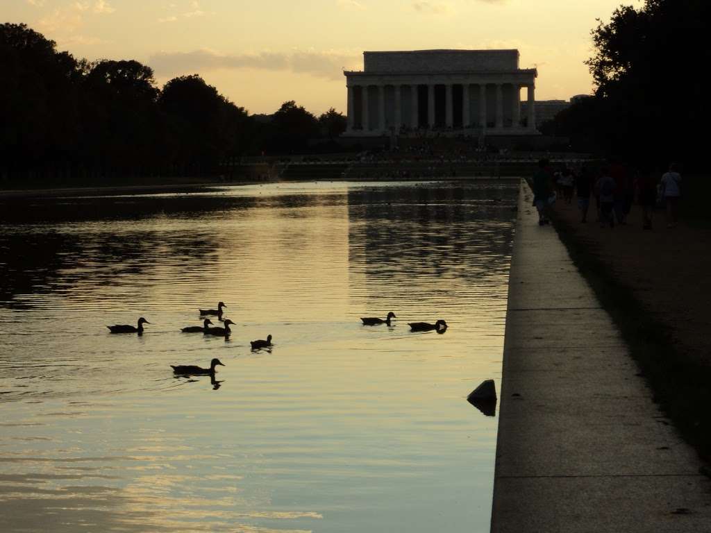 Lincoln Memorial Circle SW | Washington, DC 20037, USA