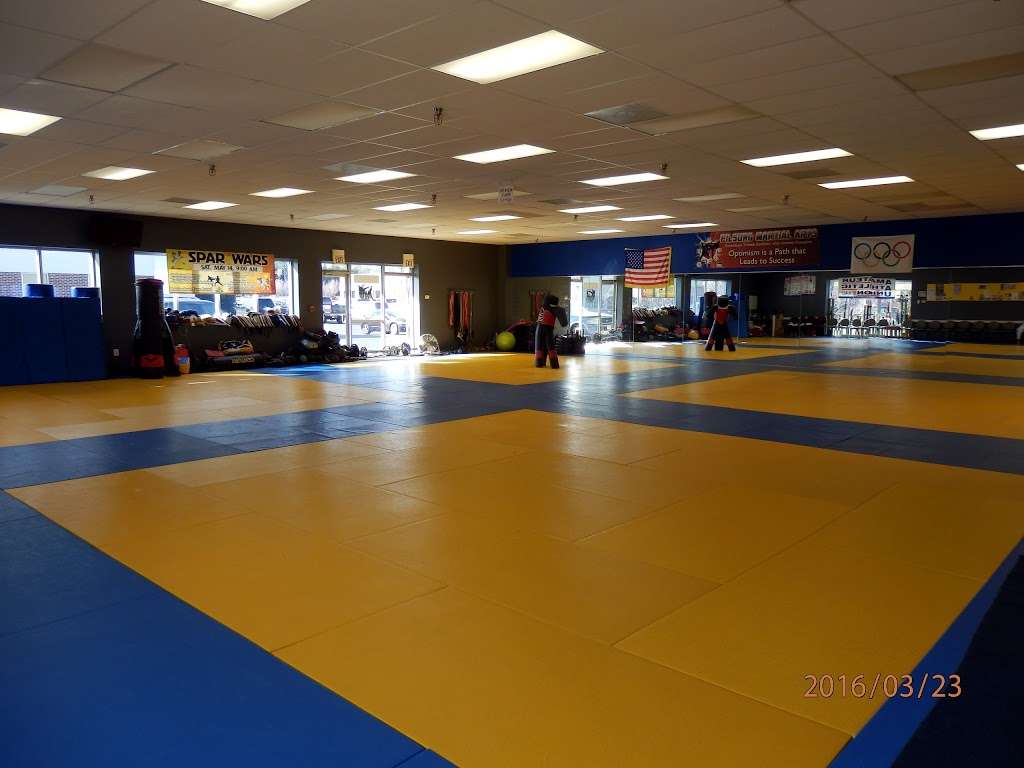 Pilsung Martial Arts | #110, 125, Olde Greenwich Dr, Fredericksburg, VA 22408 | Phone: (540) 710-9094