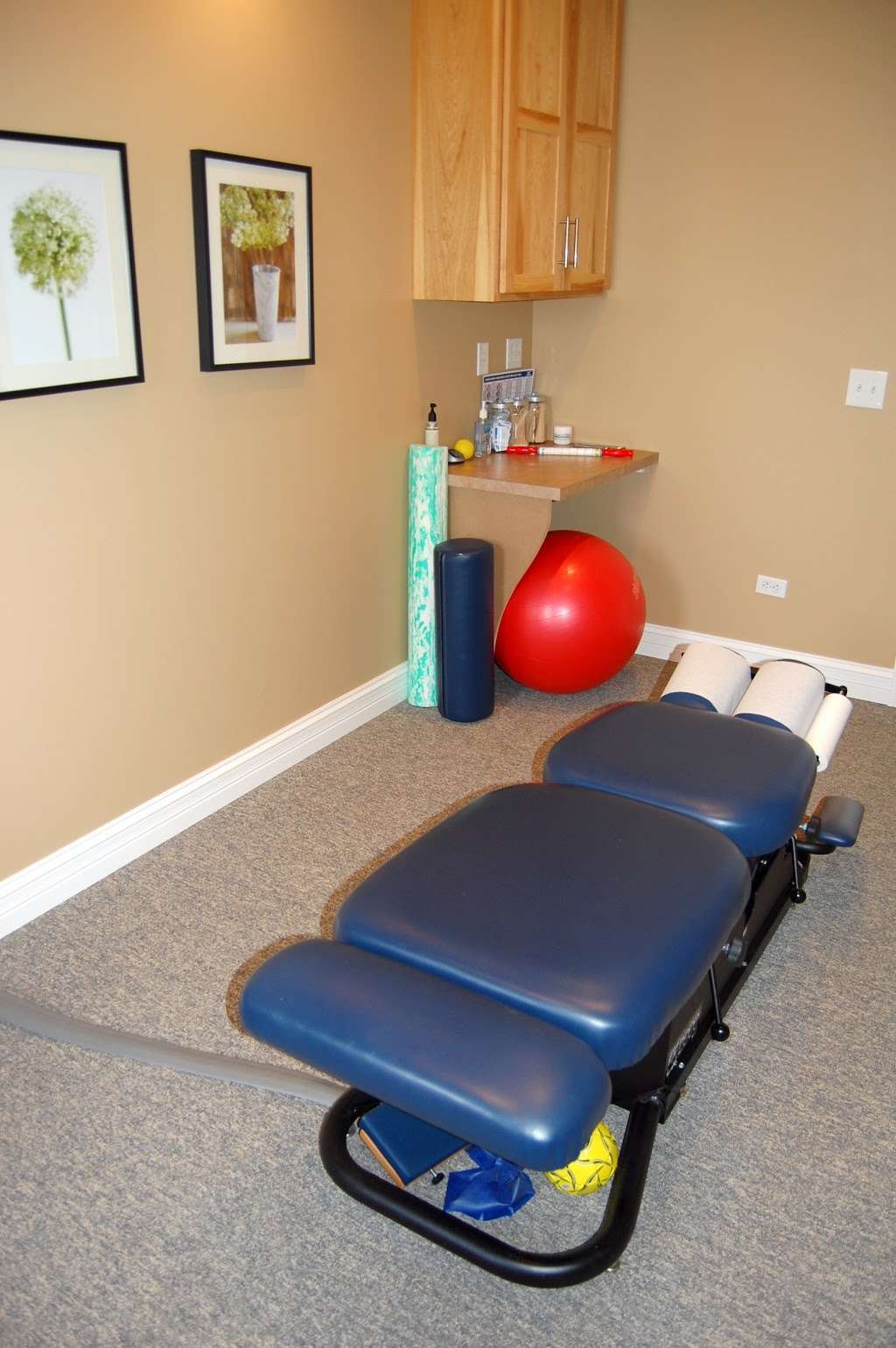 Trillium Health & Wellness, SC- Erika Mennerick, DC | 701 E North St Suite B, Elburn, IL 60119, USA | Phone: (630) 365-5820