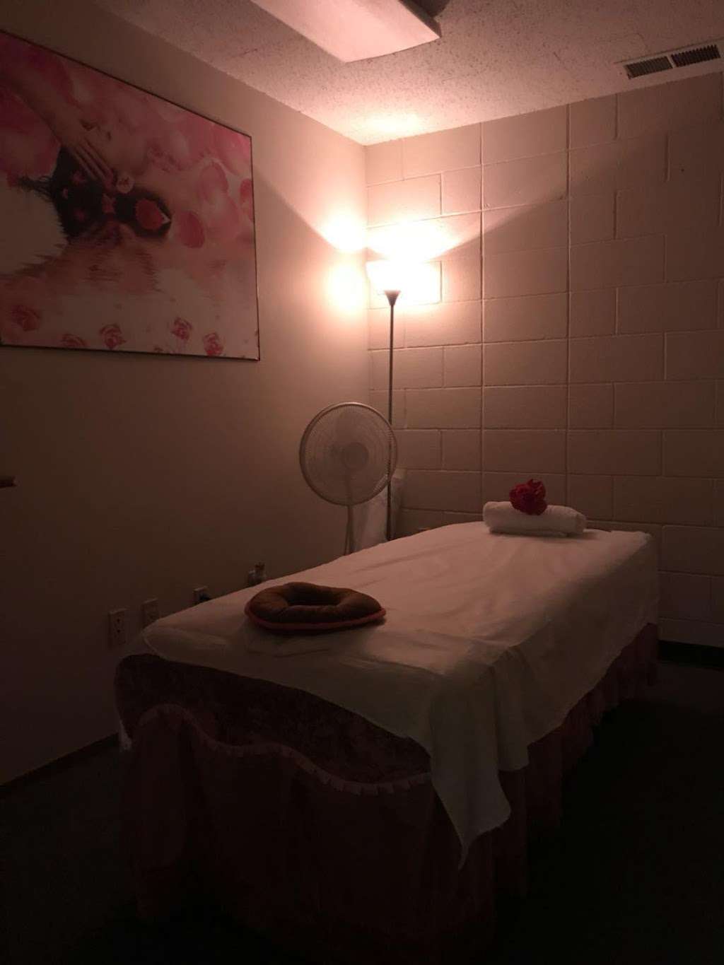 Nurture Massage Spa | 6564 S Lovers Lane Rd, Franklin, WI 53132, USA | Phone: (414) 551-2388