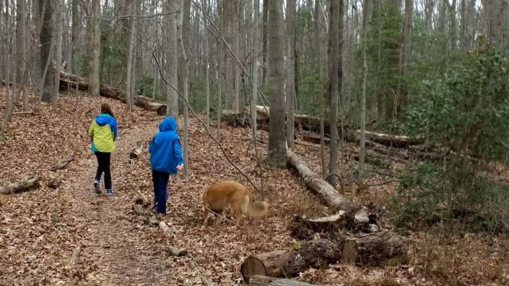 Walker Nature Center Campfire Ring | The Turquoise Trail, Reston, VA 20191