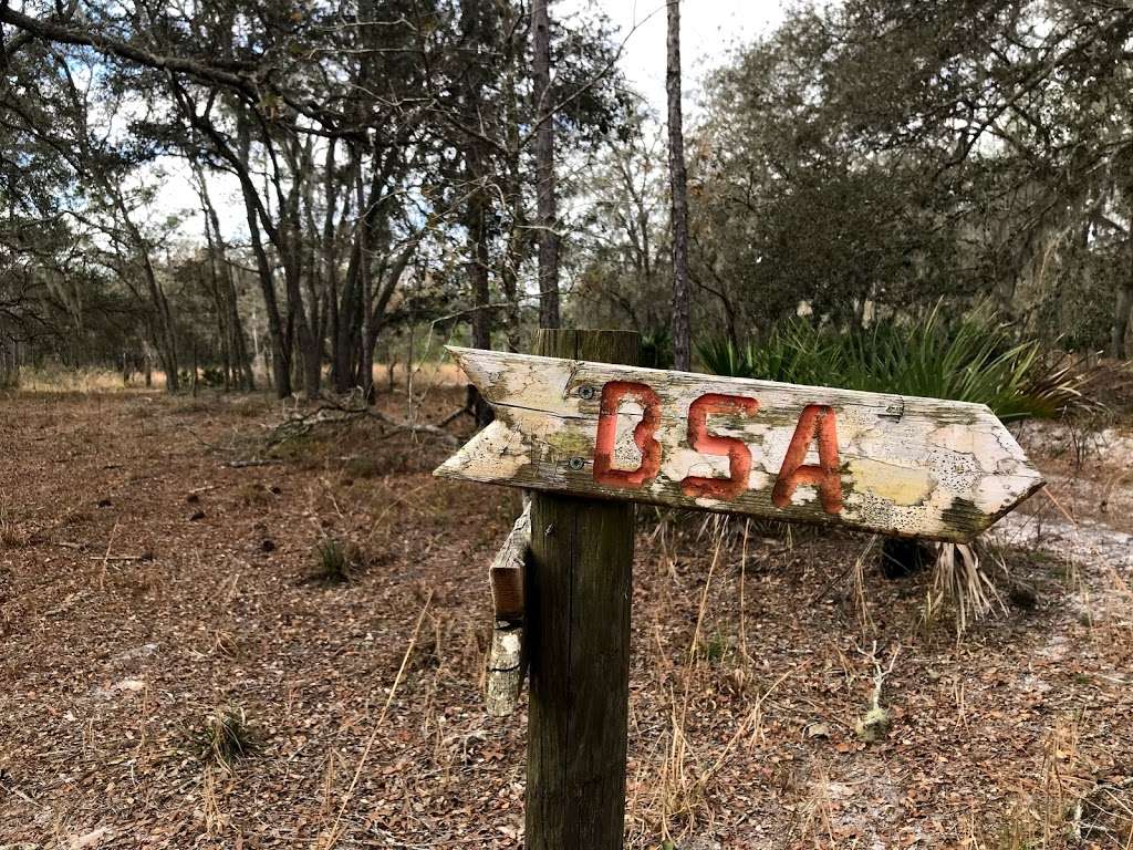 Gator Pond Backcountry Campsite | Unnamed Road, Dade City, FL 33525, USA