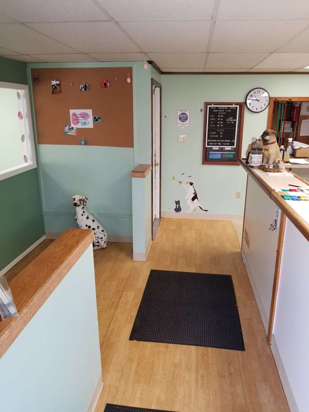 Town and Country Pet Care Center | 393 Langhorne Ave, Langhorne, PA 19053, USA | Phone: (215) 752-3661
