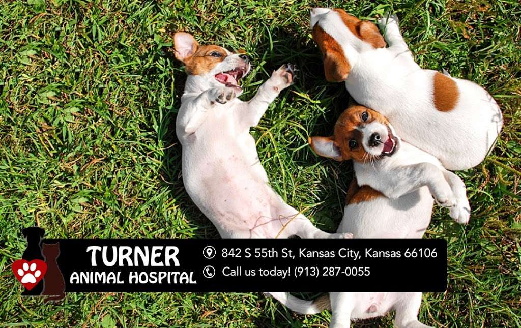 Turner Animal Hospital | 842 S 55th St, Kansas City, KS 66106, USA | Phone: (913) 287-0055