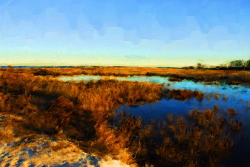 Dameron Marsh Natural Area Preserve | Kilmarnock, VA 22482, USA | Phone: (804) 786-7951