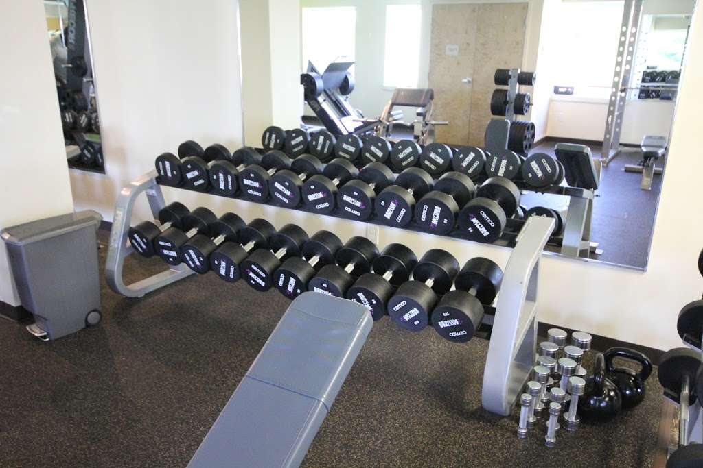 Anytime Fitness | 1000 Sandy St, Norristown, PA 19401, USA | Phone: (610) 239-9500