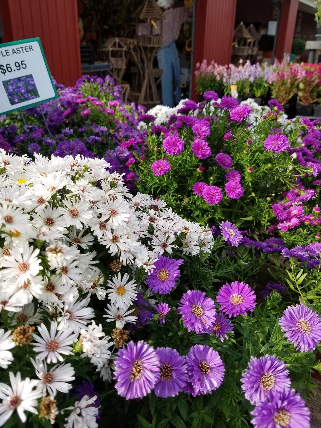 Winding Creek Nursery & Garden Center | 8241 Millbrook Rd, Millbrook, IL 60536, USA | Phone: (630) 553-7211