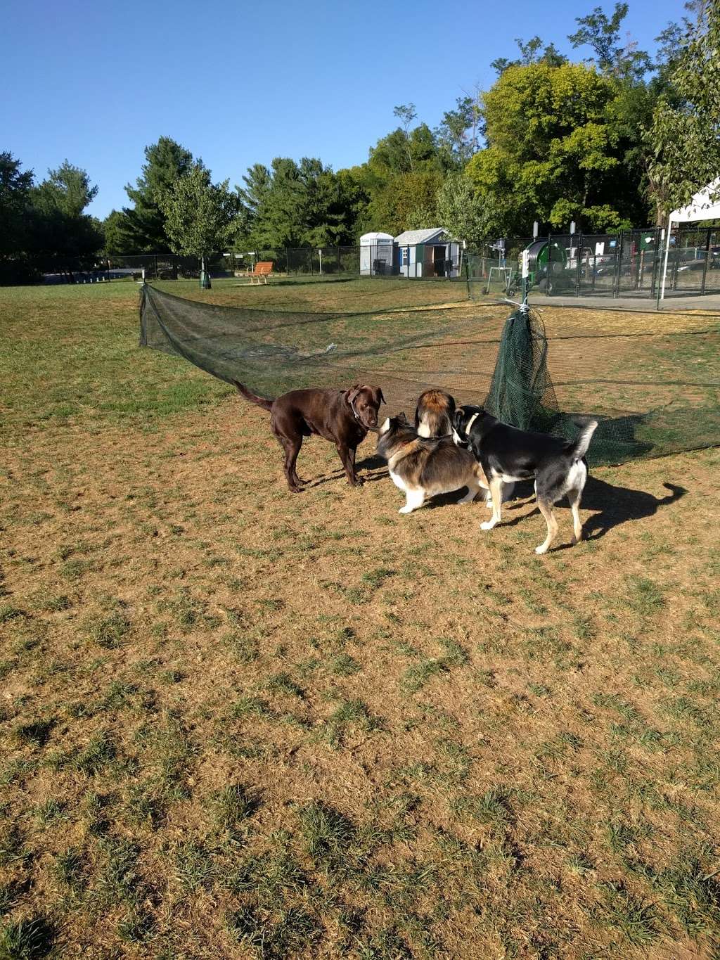 Columbia DogPark | 5901 Rivendell Ln, Columbia, MD 21044 | Phone: (410) 312-6330