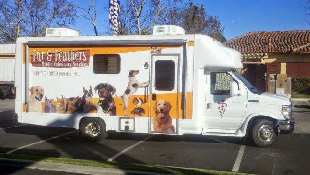 Fur & Feathers Mobile Veterinary Services | 31680 Wrightwood Rd, Bonsall, CA 92003, USA | Phone: (909) 838-0999