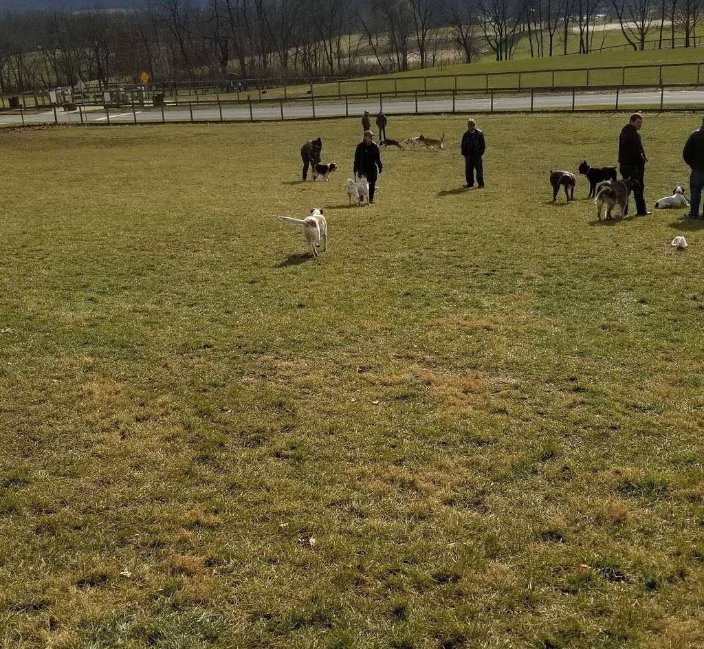 Canine Meadows | 400 Mundis Race Rd, York, PA 17406, USA | Phone: (717) 840-7440