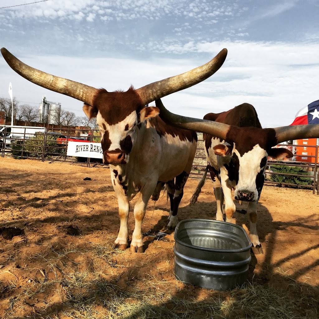 River Ranch Stockyards | 500 NE 23rd St, Fort Worth, TX 76164, USA | Phone: (817) 624-1111