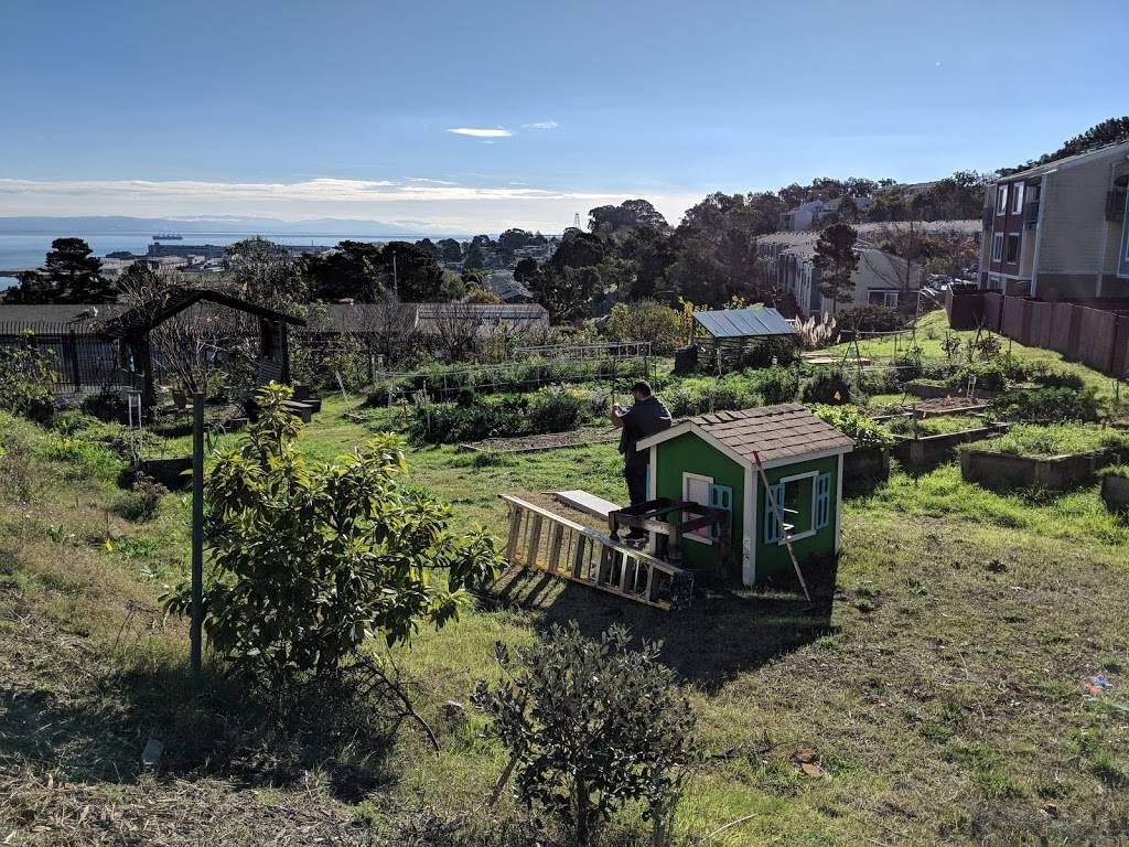 Northridge Coop CommUNITY Garden | 001 Westbrook Ct, San Francisco, CA 94124, USA | Phone: (415) 606-9541