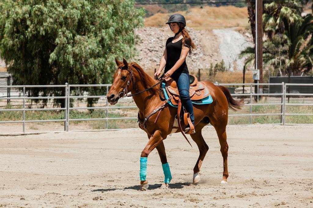 High Valley Horses | 4449 Carbon Canyon Rd, Brea, CA 92823, USA | Phone: (714) 267-3049