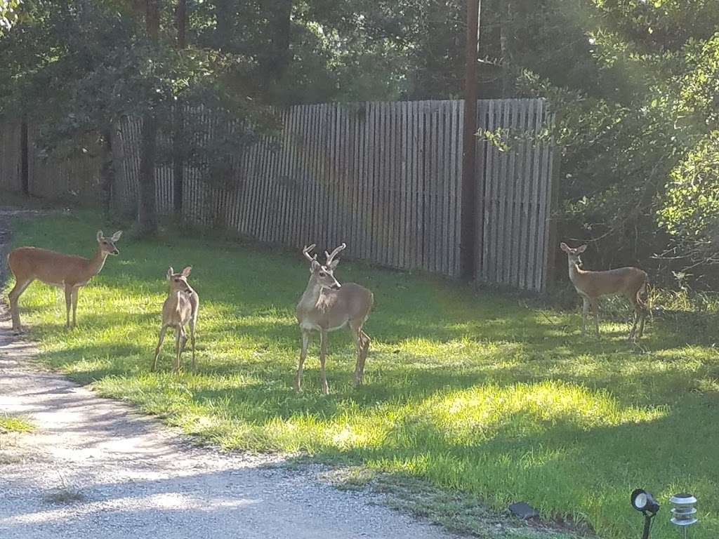 Precision Printed Circuits | 40403 Cimarron Way, Magnolia, TX 77354, USA | Phone: (281) 252-6485