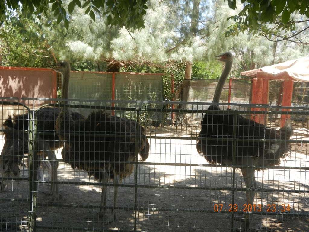 Gilcrease Nature Sanctuary | 8103 Racel St, Las Vegas, NV 89131, USA | Phone: (702) 645-4224