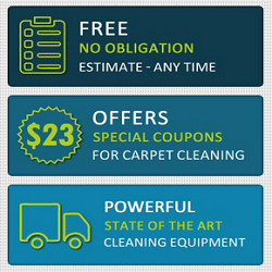 Kingwood TX Carpet Cleaning | 4501 Magnolia Cove Dr, Kingwood, TX 77345, USA | Phone: (281) 310-1879