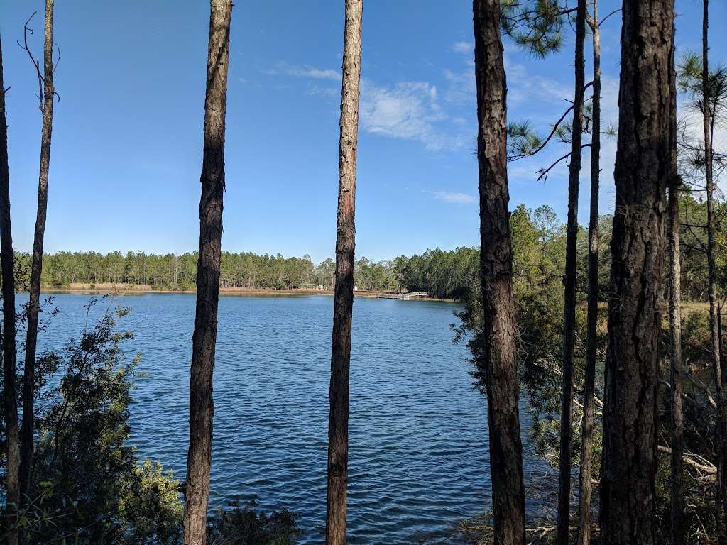 Bear Pond Trail Head FloridaTrail | 31852 Wekiva River Rd, Sorrento, FL 32776, USA