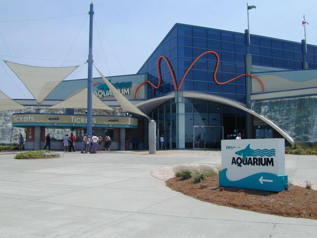 Serviette Aquarium Exhibit Consultants | 3934 Salmon Dr, Orlando, FL 32835, USA | Phone: (407) 342-7416