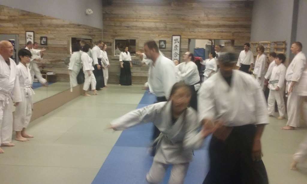 Henderson Aikido | 229 N Stephanie St D, Henderson, NV 89074, USA | Phone: (702) 719-1177