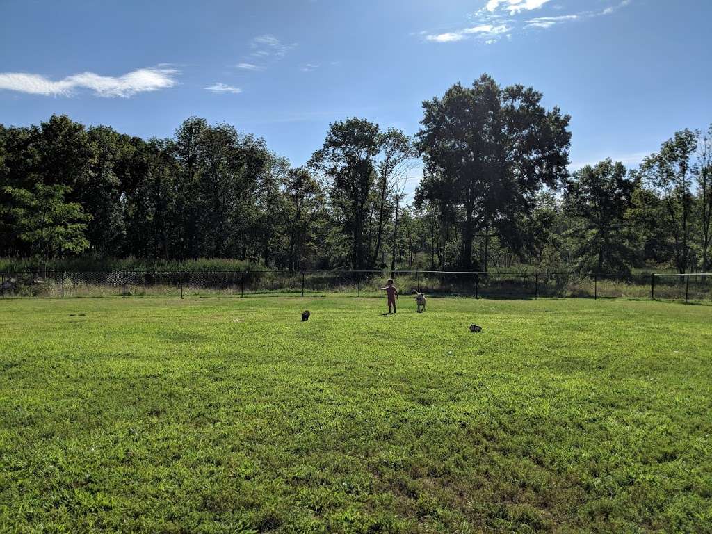 Cameron Dog Park | 129 S Beverwyck Rd, Parsippany, NJ 07054, USA