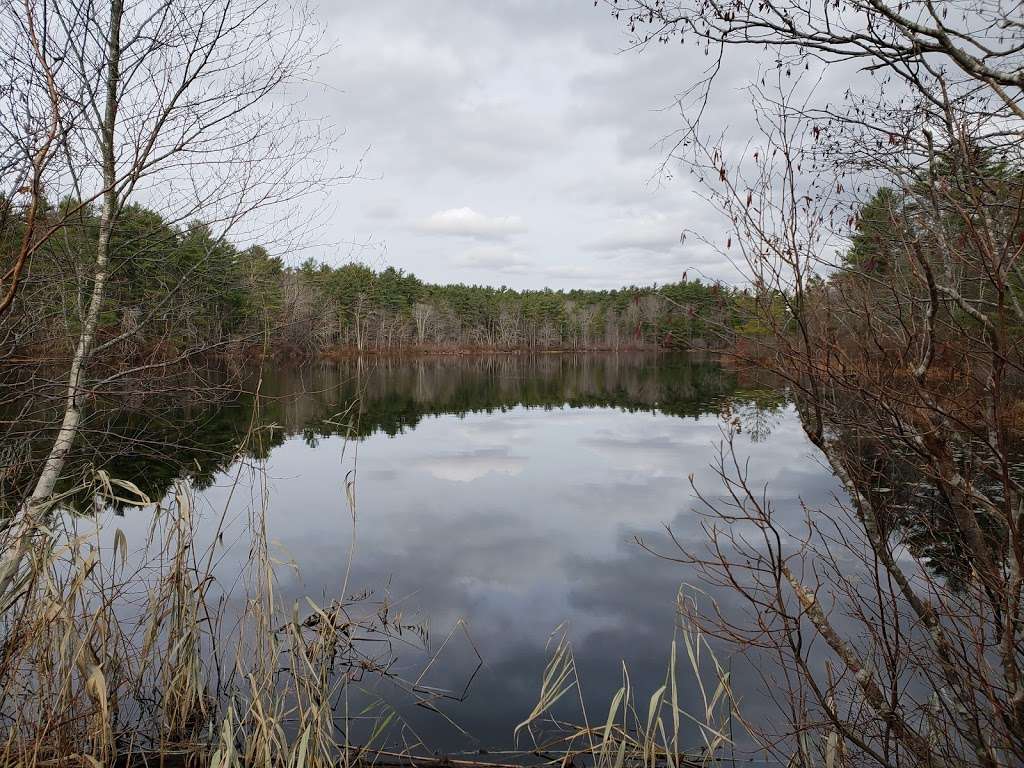 Cranberry Watershed Preserve | Bay Circuit Trail Kingston, Kingston, MA 02364, USA