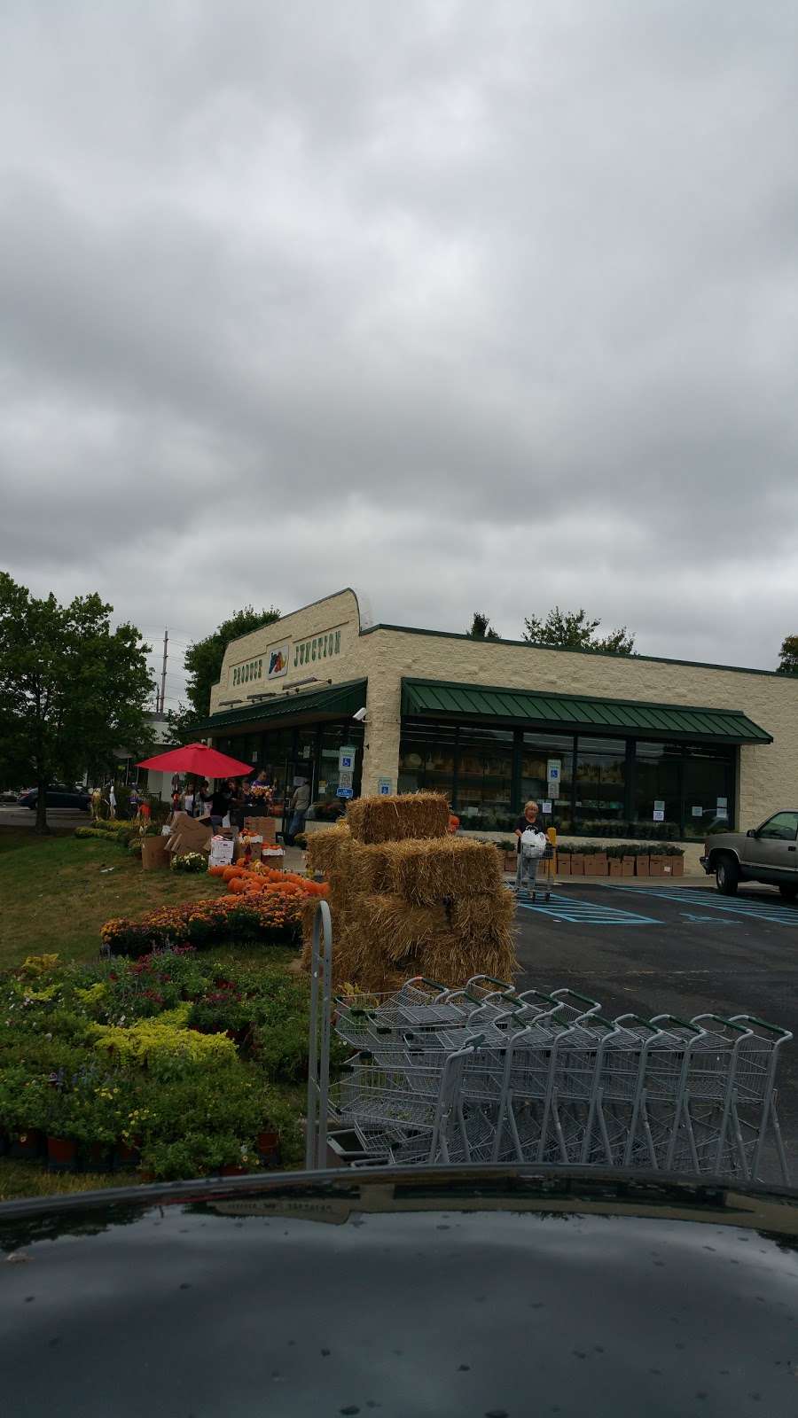 Produce Junction | 14 Willow Rd, Maple Shade Township, NJ 08052 | Phone: (856) 727-0806