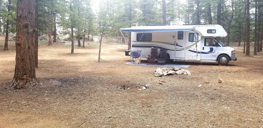 Badger Flats Campsite | Forest Rd 224, Lake George, CO 80827, USA