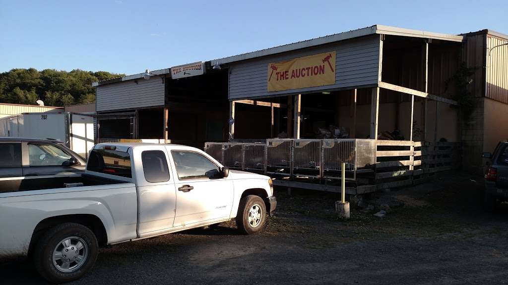 Gilbertsville Sales Auto Action | 7 Renningers Market, Schuylkill Haven, PA 17972, USA | Phone: (570) 385-4662