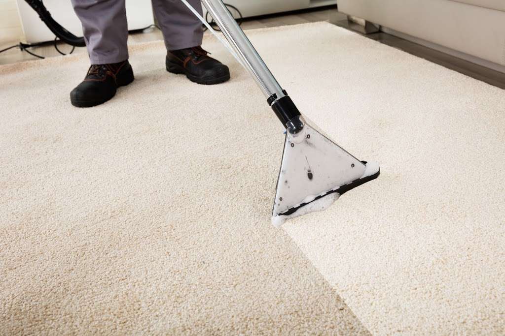 Carpet Cleaning Deluxe | 1440 Coral Ridge Dr #331, Coral Springs, FL 33071, USA | Phone: (954) 280-6617