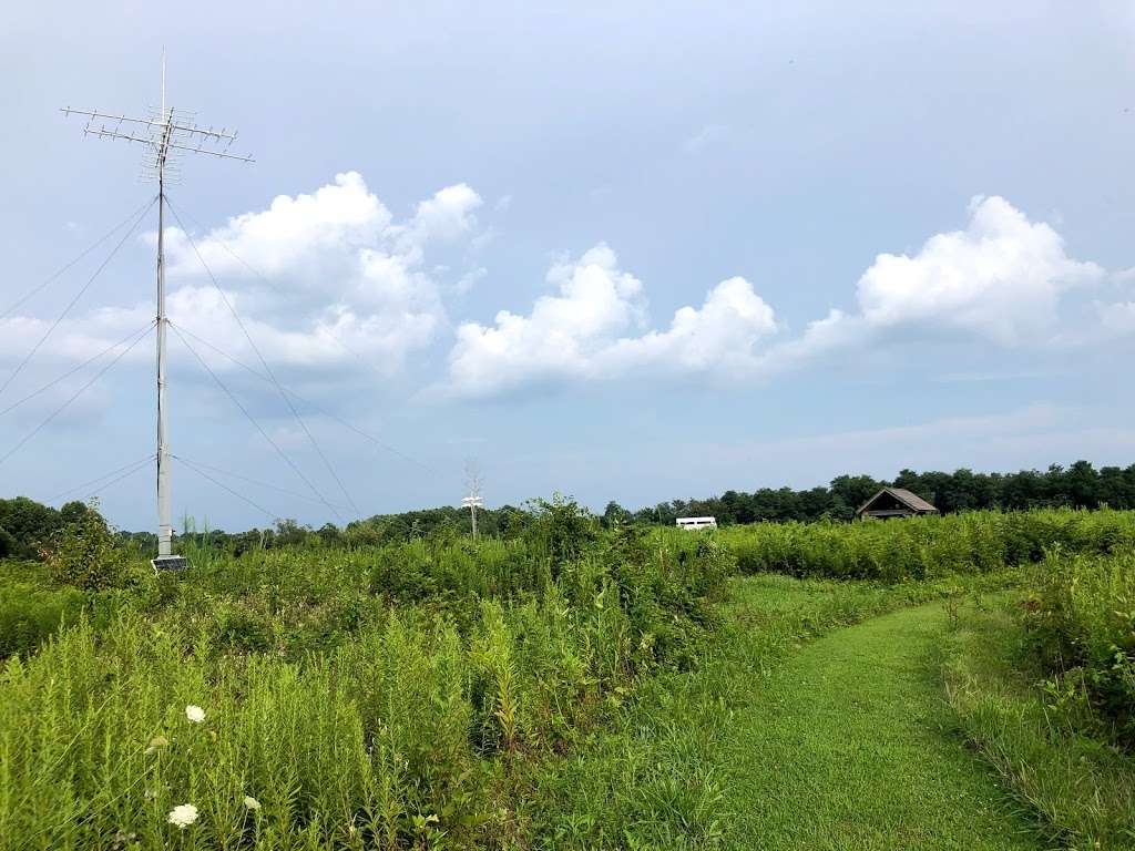 Bucktoe Creek Preserve | 432 Sharp Rd, Avondale, PA 19311, USA