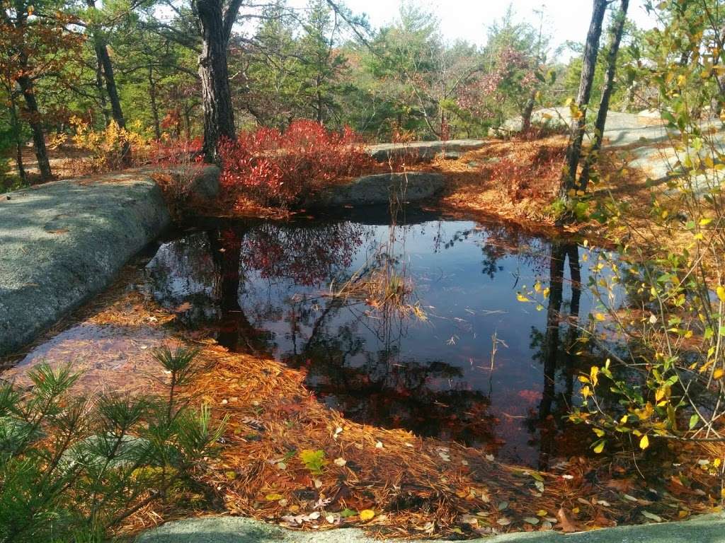 Red Rocks Conservation Area | 44B Forest Ln, Gloucester, MA 01930, USA