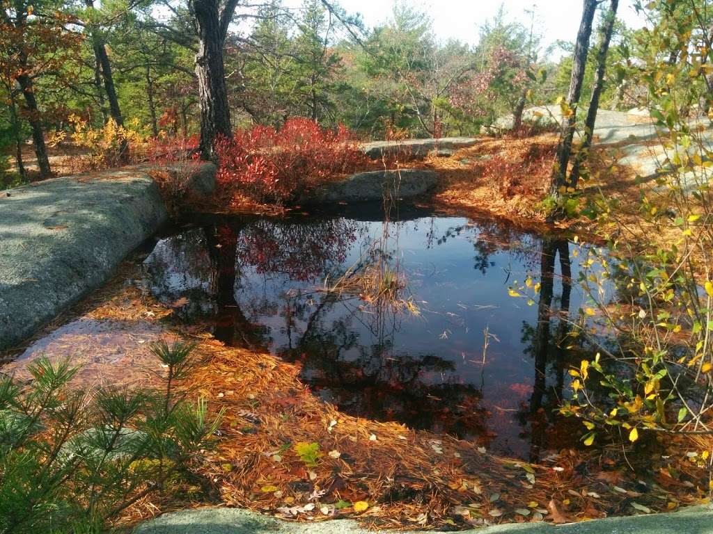 Red Rocks Conservation Area | 44B Forest Ln, Gloucester, MA 01930