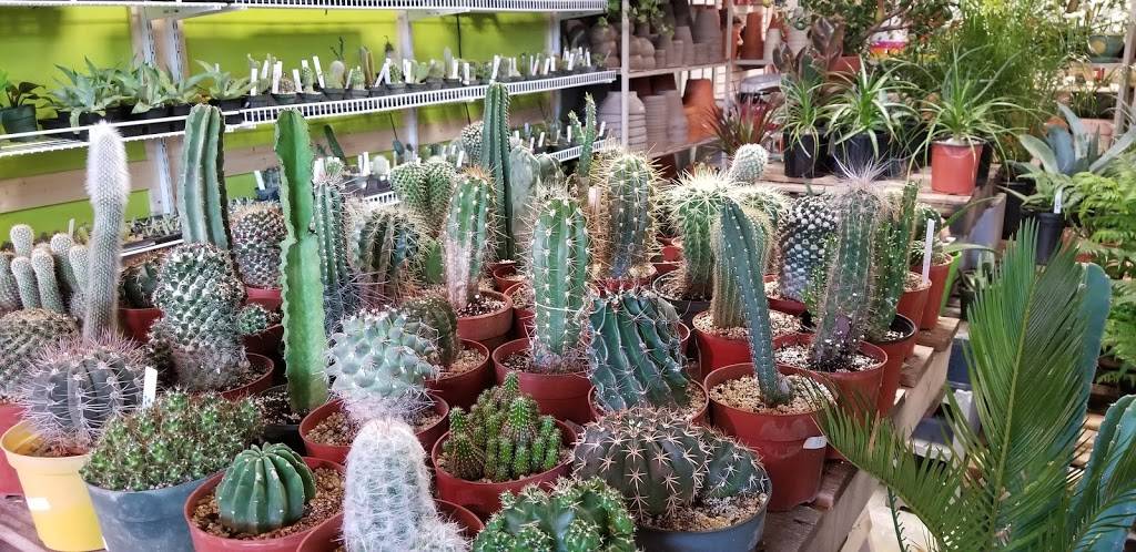 Worldwide Cactus And Exotics | 2630 E Central Ave, Wichita, KS 67214, USA | Phone: (316) 260-1997