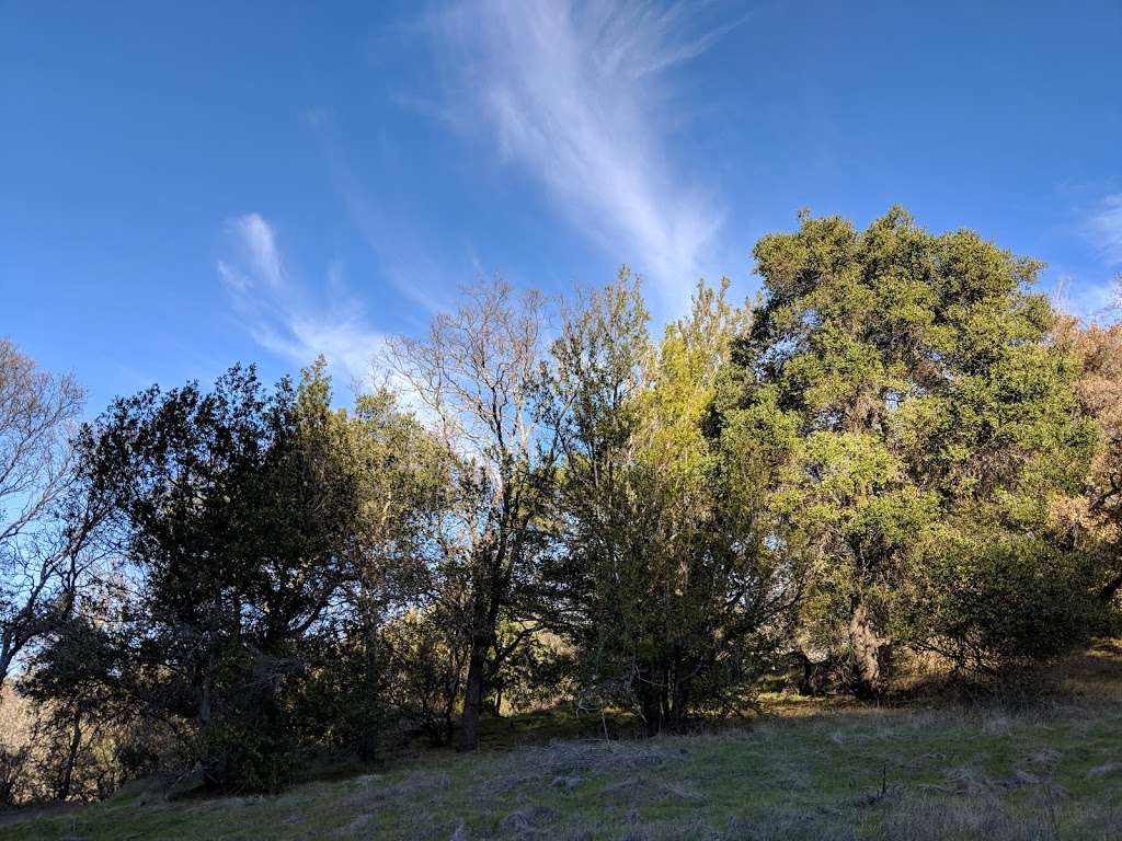 Almaden Quicksilver County Park | New Almaden Trail, San Jose, CA 95120, USA | Phone: (408) 535-4070